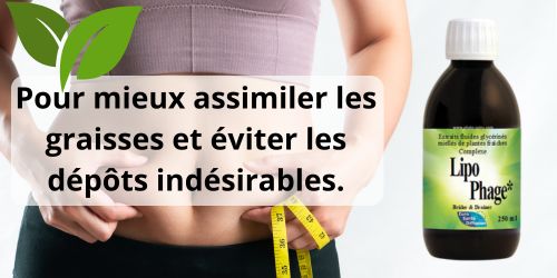 Lipophage: Br&ucirc;ler et Drainer